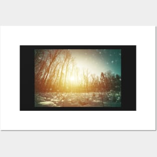 Clearing in winter forest Posters and Art